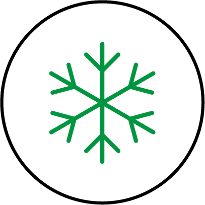 Winter Icon